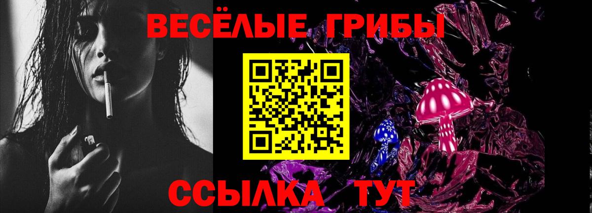Каменск-Уральский  Псилоцибиновые грибы Cubensis  Вход с VPN  Галлюциногенные грибы прущие грибы 